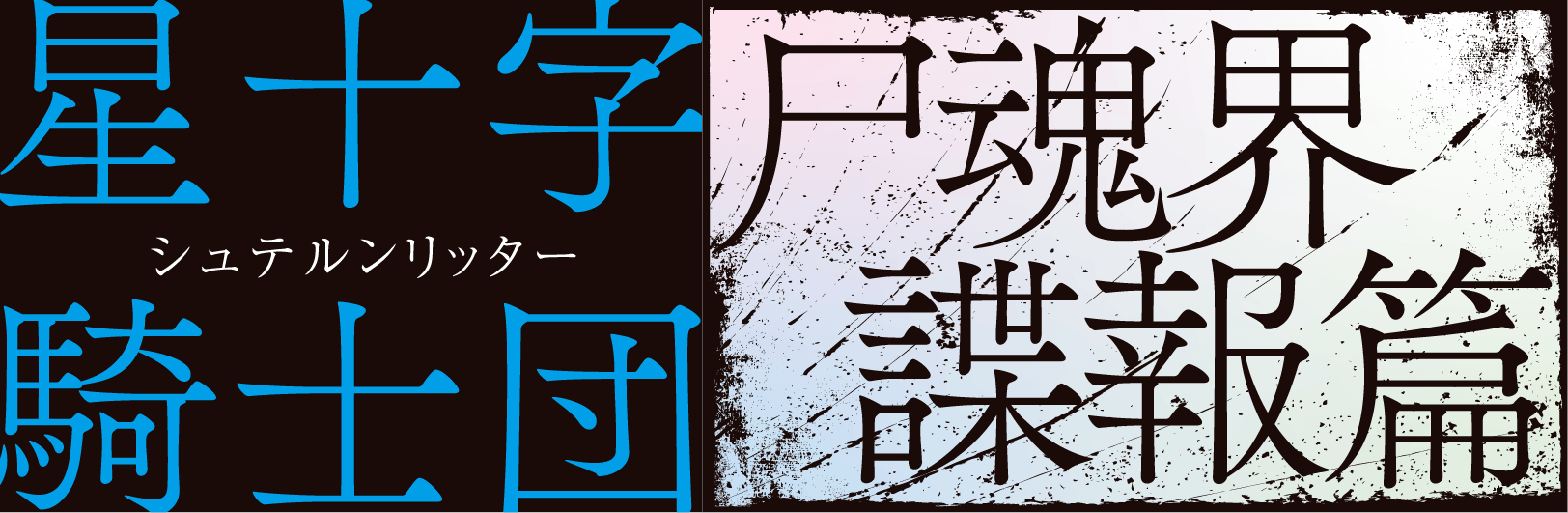 Sternritter: Soul Society Intelligence