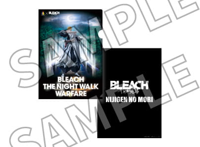 A4 clear file