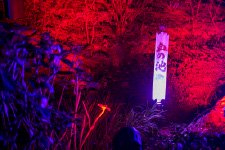 BLEACH THE NIGHT WALK WARFARE Gallery