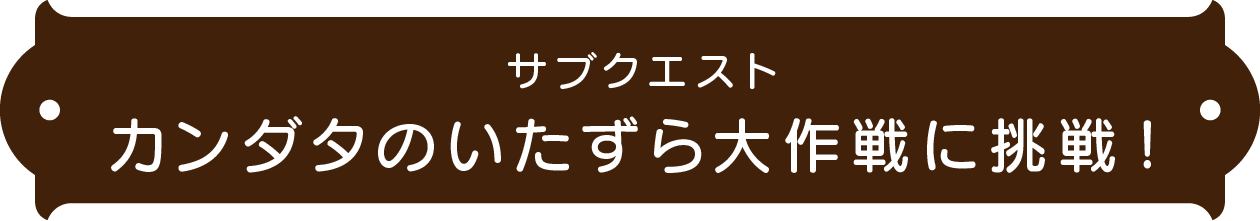 支線任務