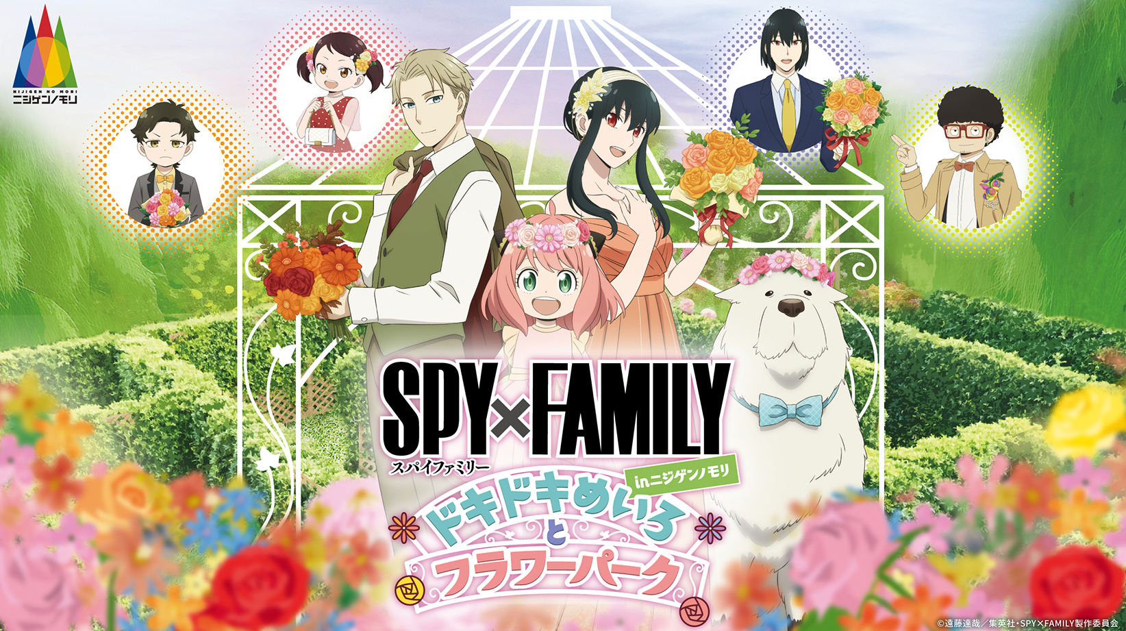 SPY×FAMILY