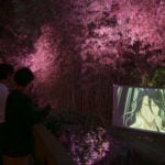 桜ぽく映るイルミネーションの照明。　BLEACHの屋外スクリーン