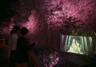 桜ぽく映るイルミネーションの照明。　BLEACHの屋外スクリーン