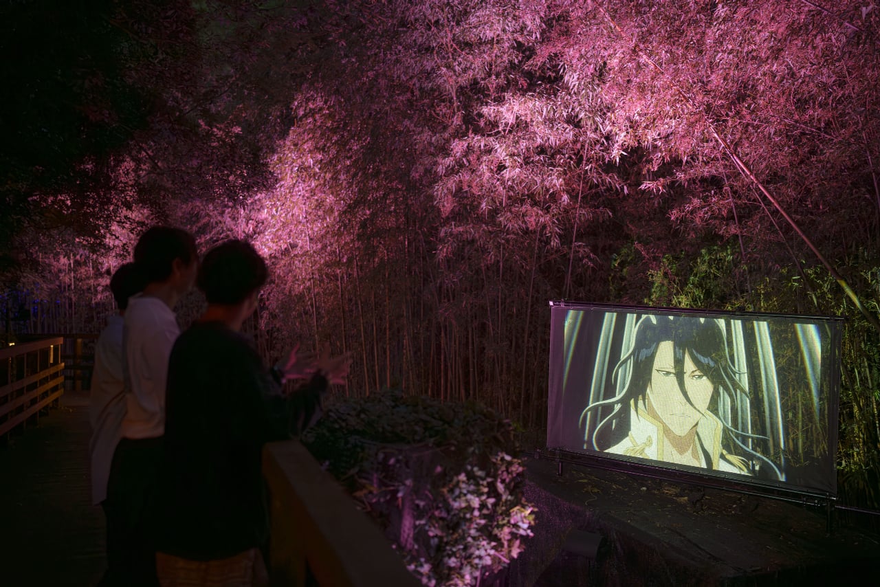 桜ぽく映るイルミネーションの照明。　BLEACHの屋外スクリーン